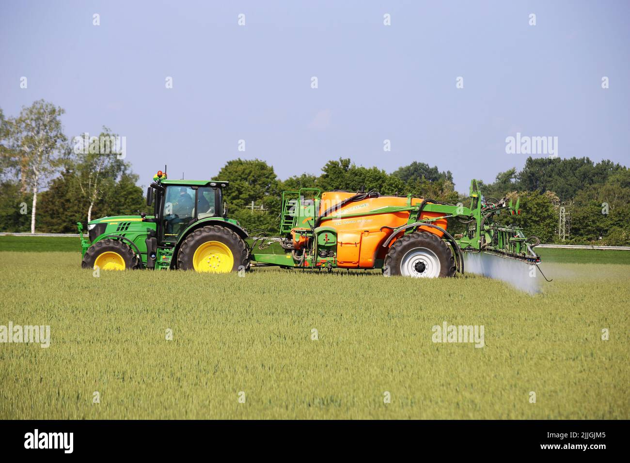 L'agricoltore guida il trattore con un'irroratrice per la protezione del raccolto sul campo di grano per combattere la ruggine bruna e la muffa Foto Stock