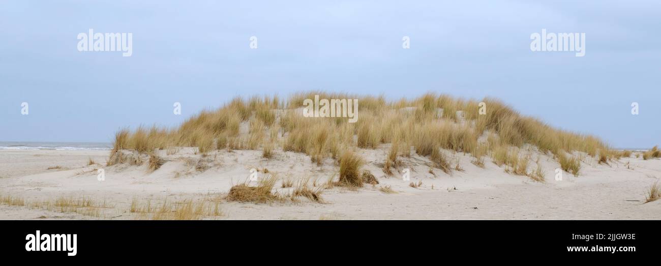 Paesaggio sulla costa settentrionale Foto Stock Paesaggio sulla costa settentrionale Foto Stock