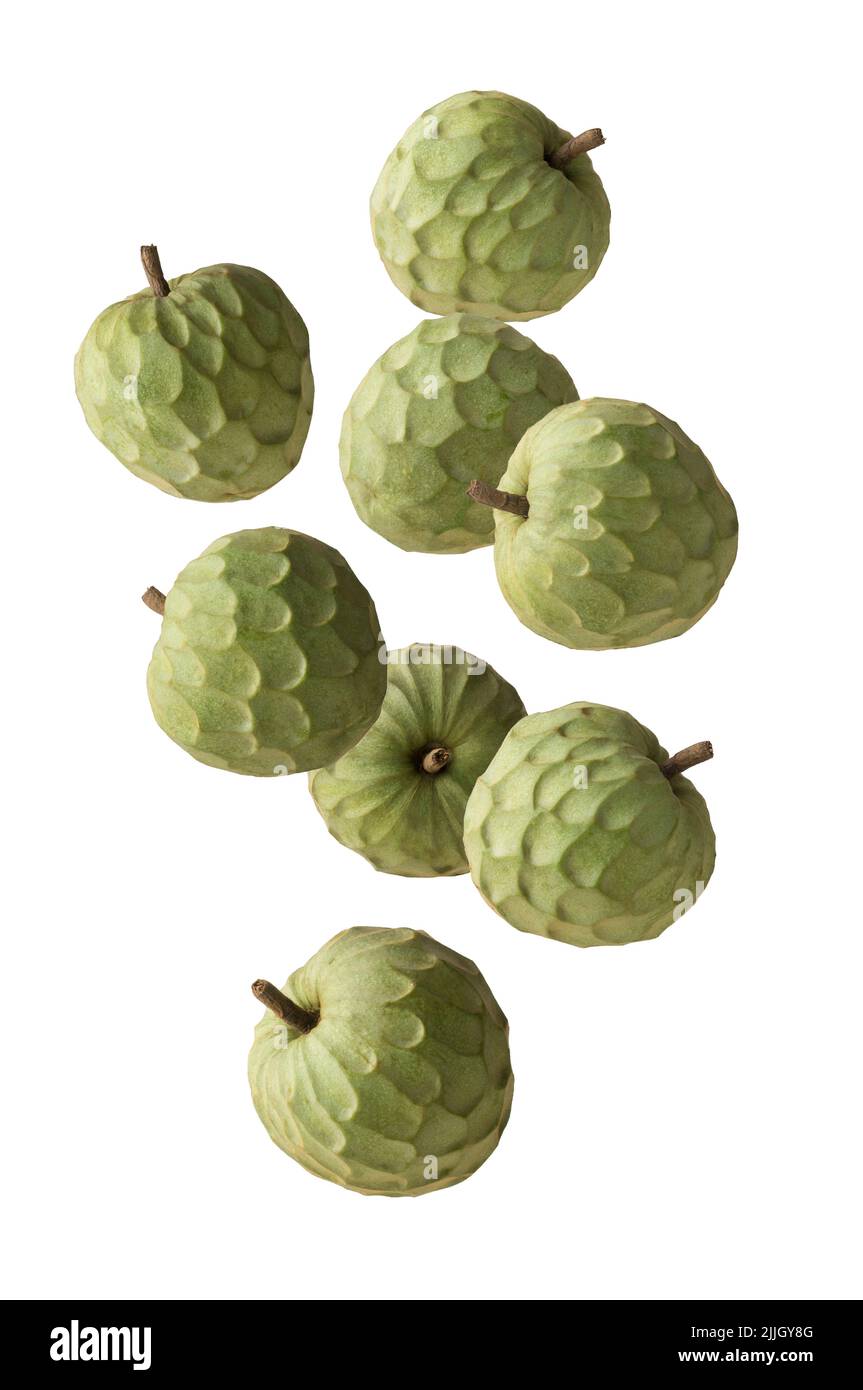 cherimoya, annona cherimoya, frutta commestibile a forma di cono conosciuta anche come mela crema o mela zucchero, frutta tropicale dal gusto dolce che cade su bianco Foto Stock
