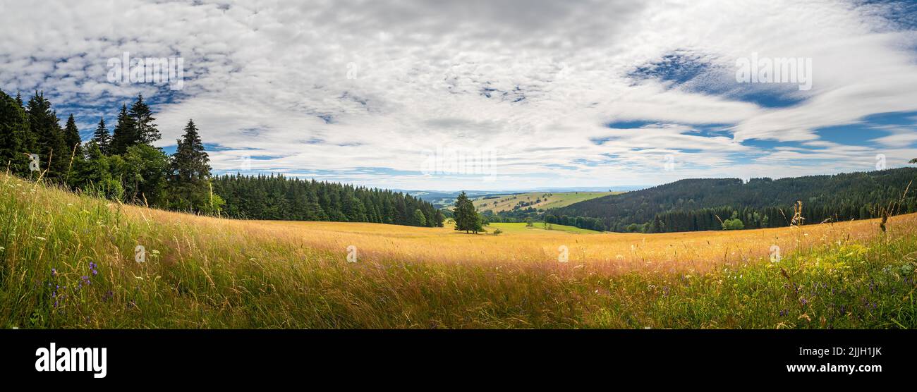 Paesaggio con valle, prato e foresta, montagne Orlicke, repubblica Ceca Foto Stock