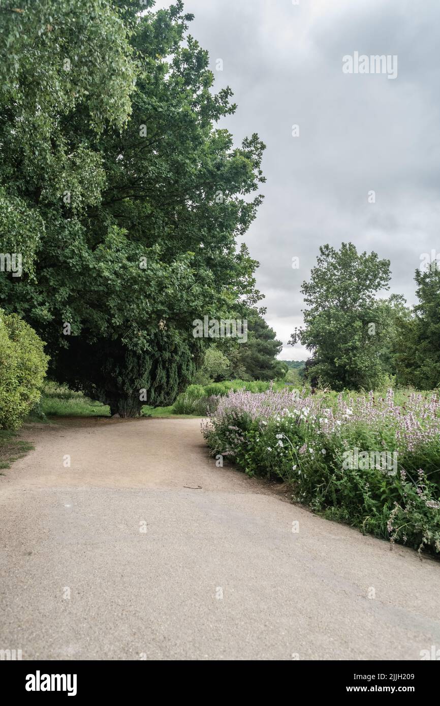 Staffordshire Lakeside pathway Sunny day Landscape, Stoke-on-Trent, Regno Unito Foto Stock