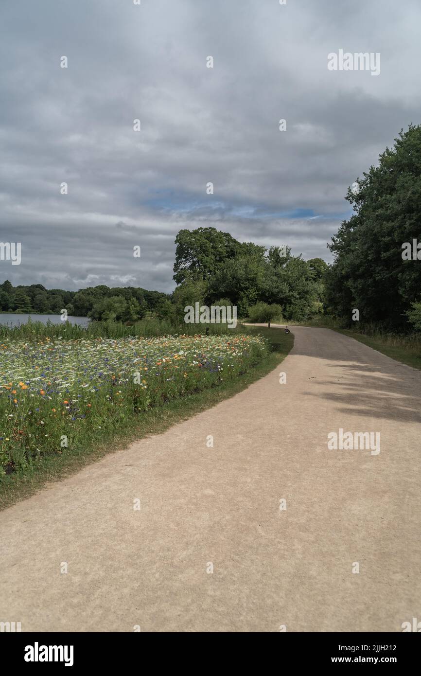 Staffordshire Lakeside pathway Sunny day Landscape, Stoke-on-Trent, Regno Unito Foto Stock