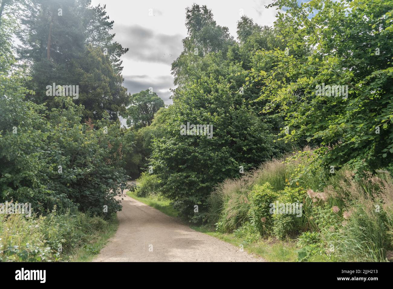 Staffordshire Lakeside pathway Sunny day Landscape, Stoke-on-Trent, Regno Unito Foto Stock