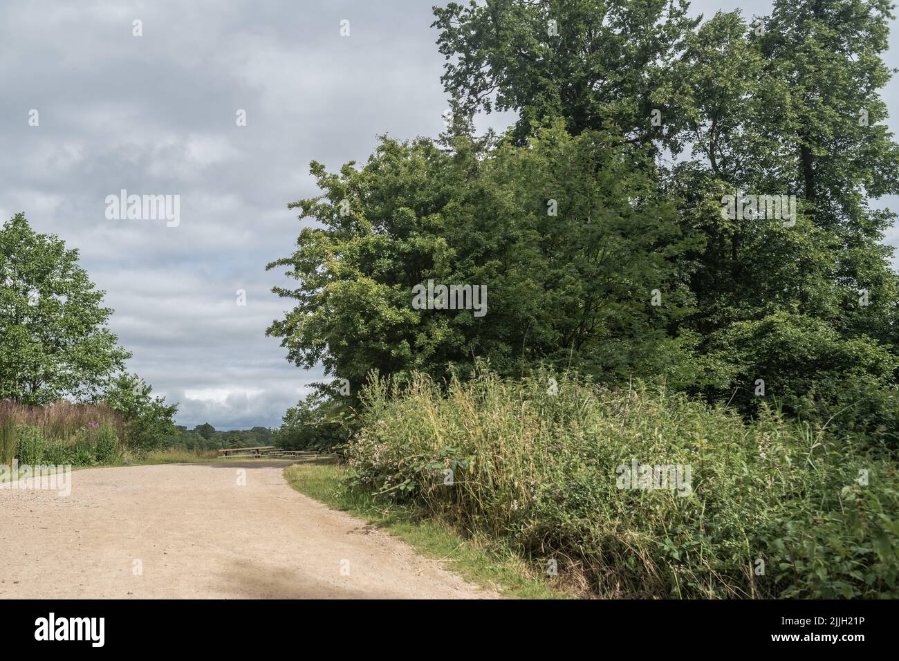 Staffordshire Lakeside pathway Sunny day Landscape, Stoke-on-Trent, Regno Unito Foto Stock