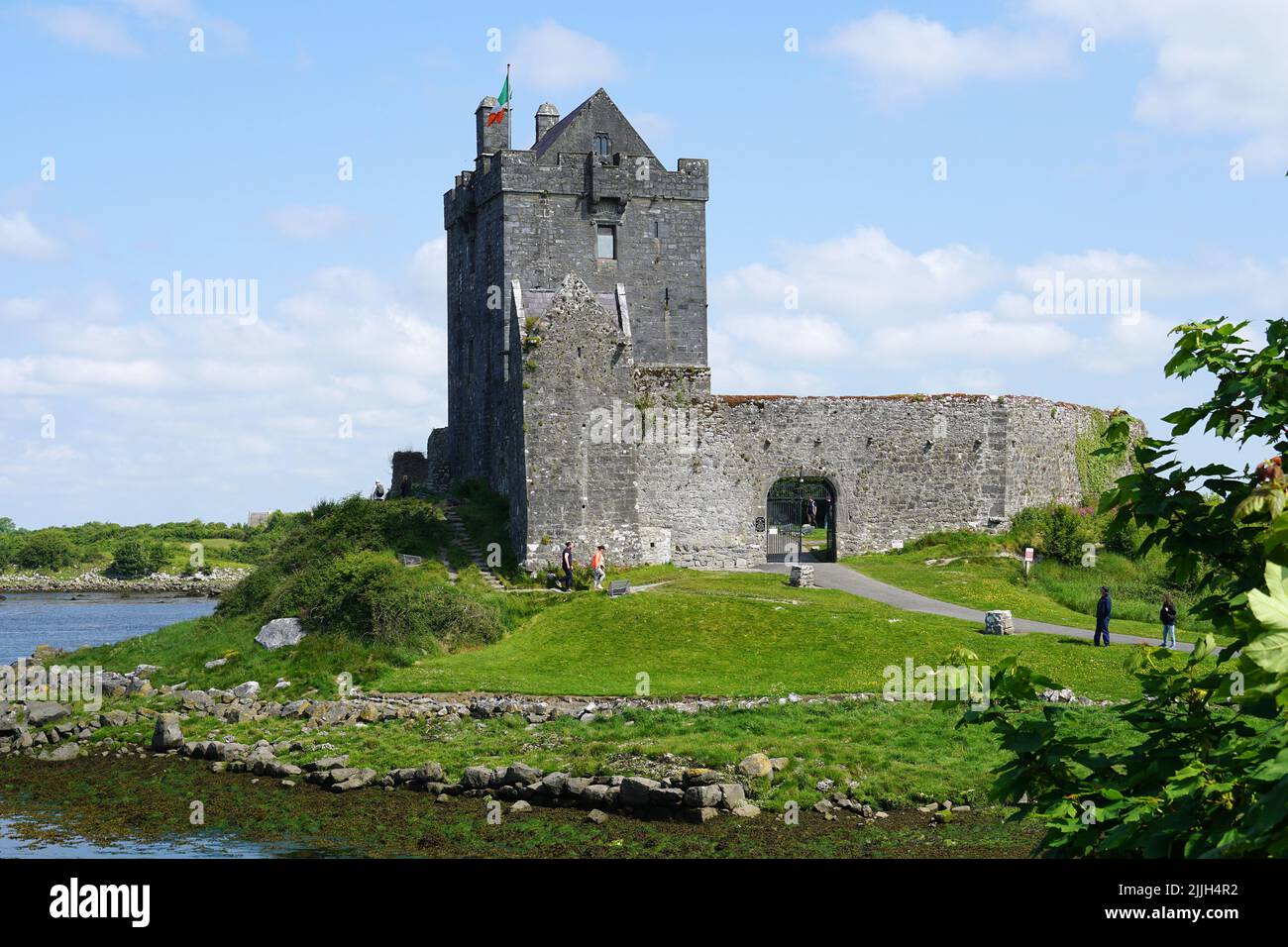 Castello di Dunguaire, Dún Guaire, casa torre, 16th-secolo, Baia di Galway, Galway County, Irlanda, Éire, Irland, Írország, Europa Foto Stock