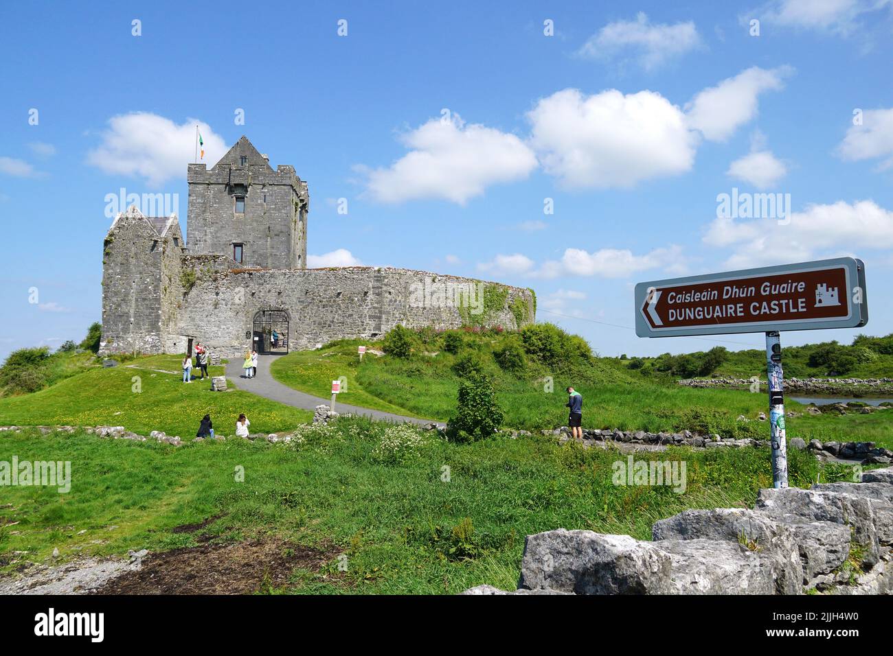 Castello di Dunguaire, Dún Guaire, casa torre, 16th-secolo, Baia di Galway, Galway County, Irlanda, Éire, Irland, Írország, Europa Foto Stock