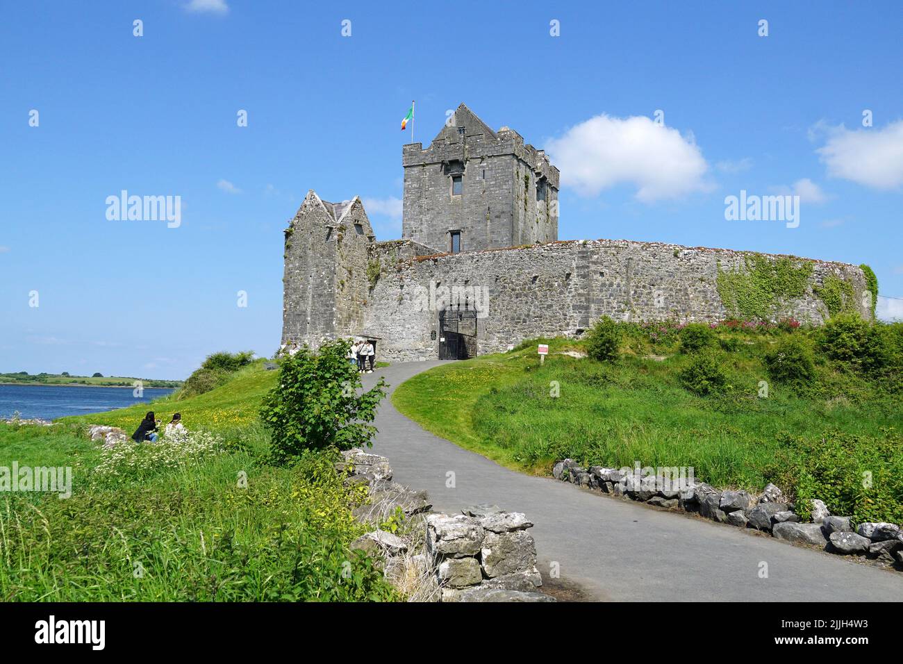Castello di Dunguaire, Dún Guaire, casa torre, 16th-secolo, Baia di Galway, Galway County, Irlanda, Éire, Irland, Írország, Europa Foto Stock