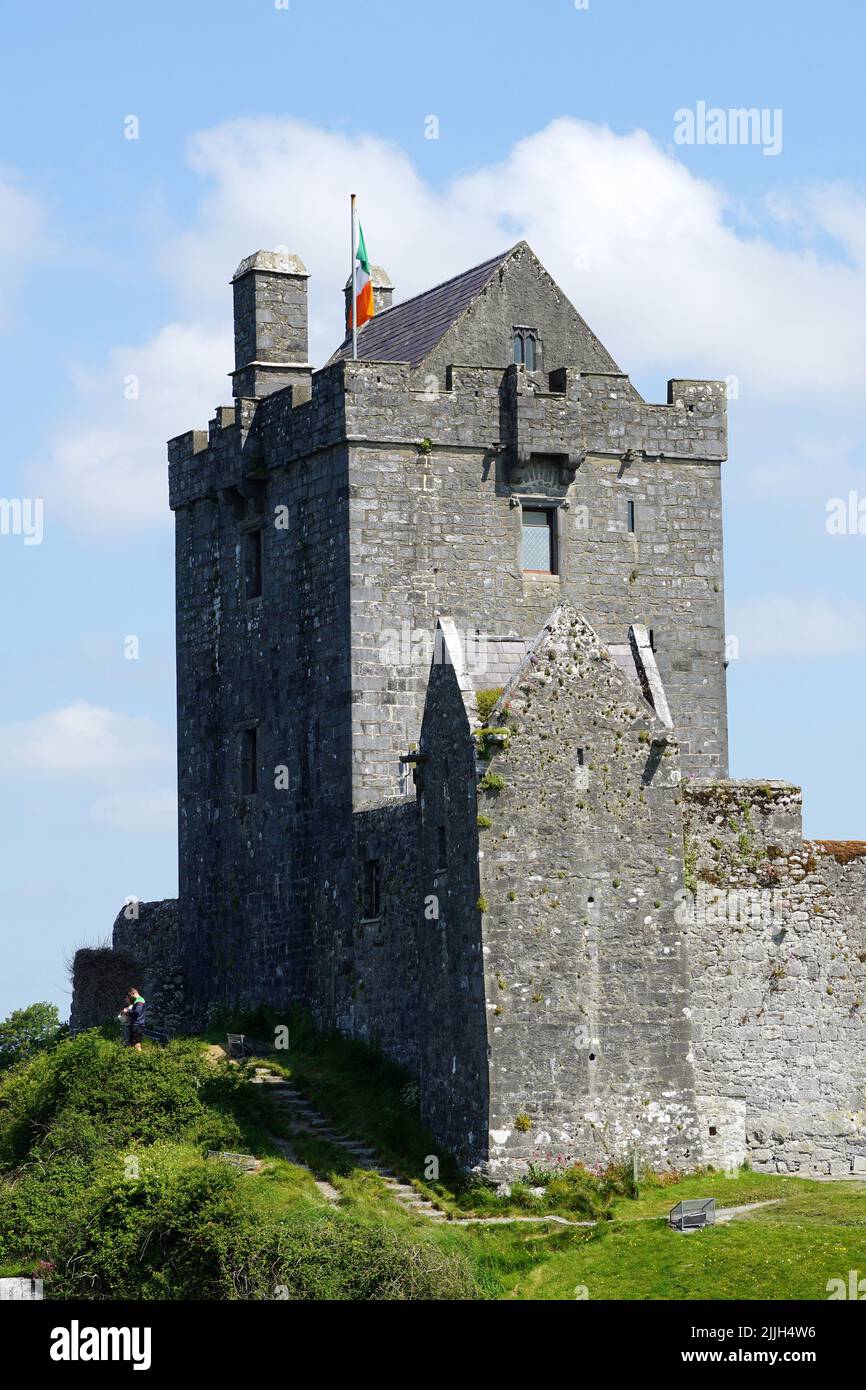 Castello di Dunguaire, Dún Guaire, casa torre, 16th-secolo, Baia di Galway, Galway County, Irlanda, Éire, Irland, Írország, Europa Foto Stock