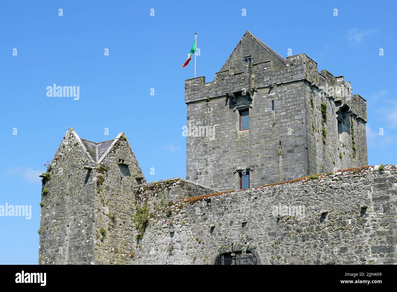 Castello di Dunguaire, Dún Guaire, casa torre, 16th-secolo, Baia di Galway, Galway County, Irlanda, Éire, Irland, Írország, Europa Foto Stock