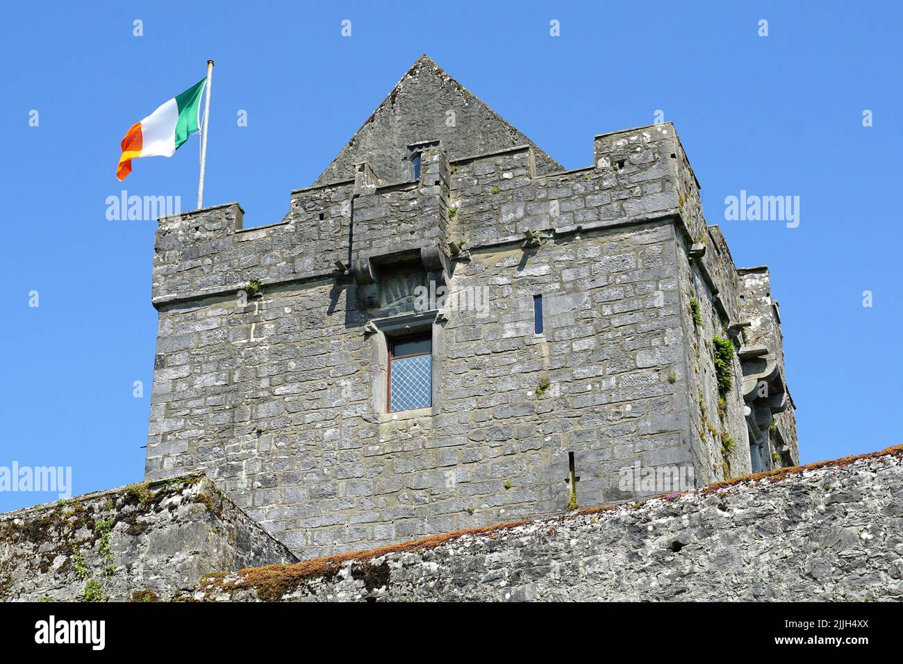 Castello di Dunguaire, Dún Guaire, casa torre, 16th-secolo, Baia di Galway, Galway County, Irlanda, Éire, Irland, Írország, Europa Foto Stock