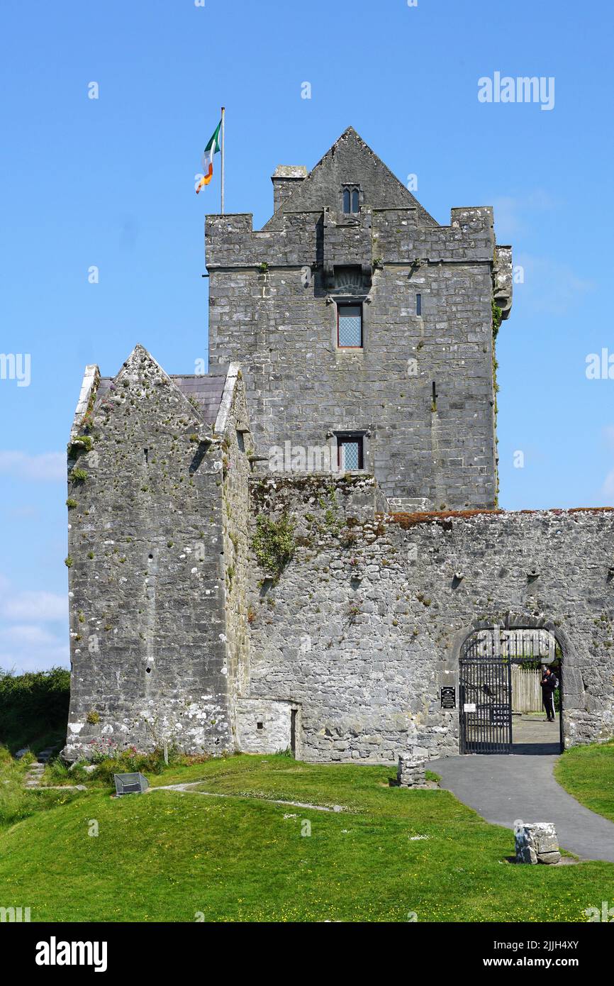 Castello di Dunguaire, Dún Guaire, casa torre, 16th-secolo, Baia di Galway, Galway County, Irlanda, Éire, Irland, Írország, Europa Foto Stock