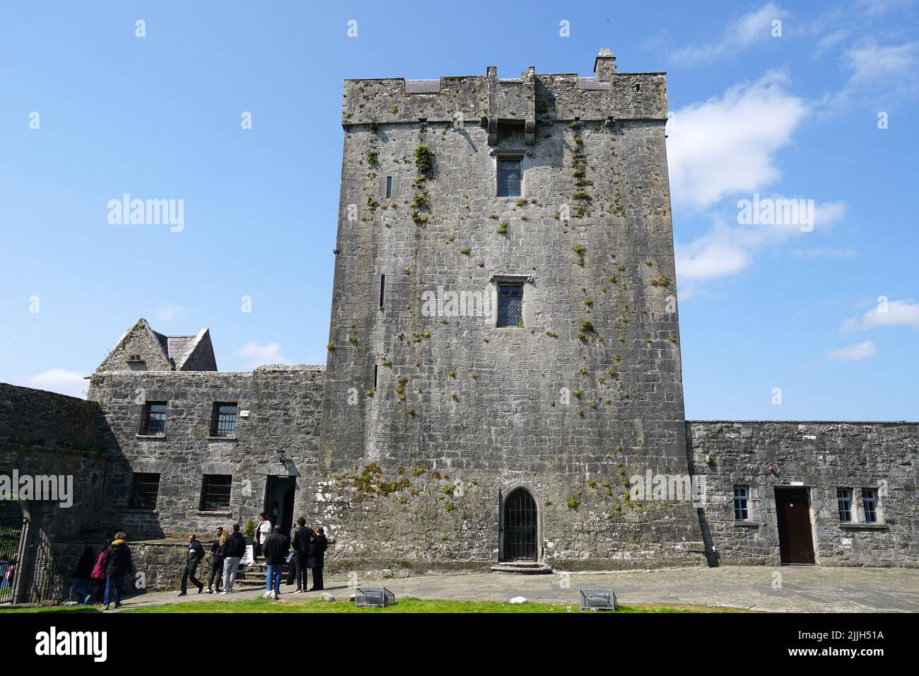 Castello di Dunguaire, Dún Guaire, casa torre, 16th-secolo, Baia di Galway, Galway County, Irlanda, Éire, Irland, Írország, Europa Foto Stock