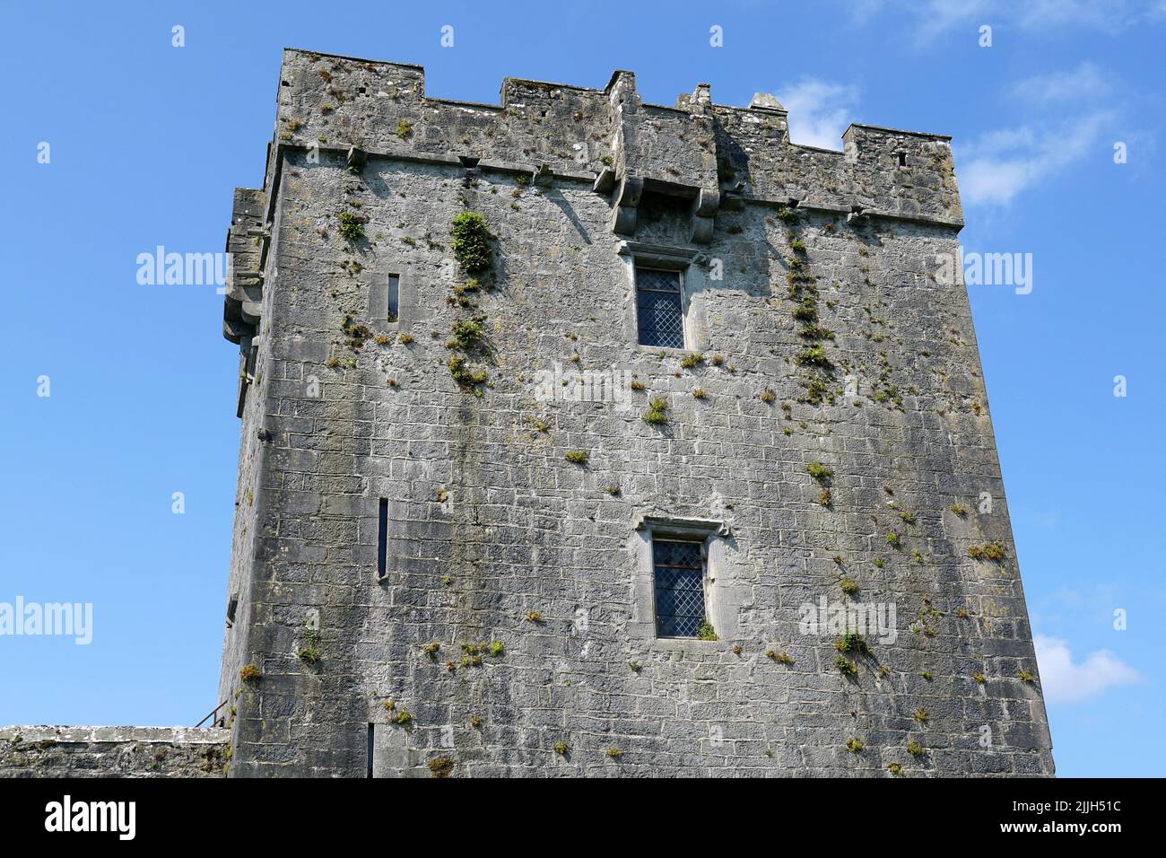 Castello di Dunguaire, Dún Guaire, casa torre, 16th-secolo, Baia di Galway, Galway County, Irlanda, Éire, Irland, Írország, Europa Foto Stock