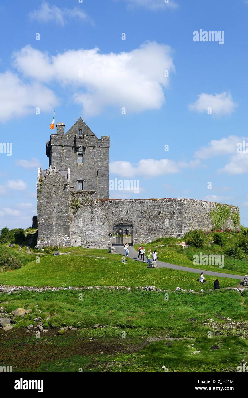 Castello di Dunguaire, Dún Guaire, casa torre, 16th-secolo, Baia di Galway, Galway County, Irlanda, Éire, Irland, Írország, Europa Foto Stock