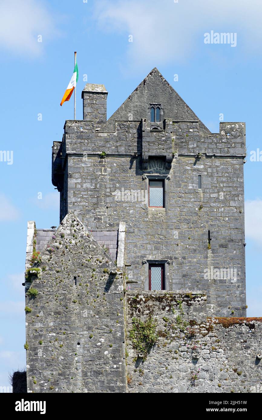 Castello di Dunguaire, Dún Guaire, casa torre, 16th-secolo, Baia di Galway, Galway County, Irlanda, Éire, Irland, Írország, Europa Foto Stock