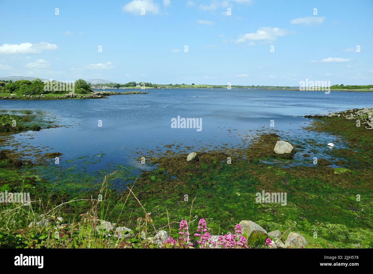 Galway Bay, Loch Lurgain o Cuan na Gaillimhe, contea di Galway, Irlanda, Éire, Irland, Írország, Europa Foto Stock