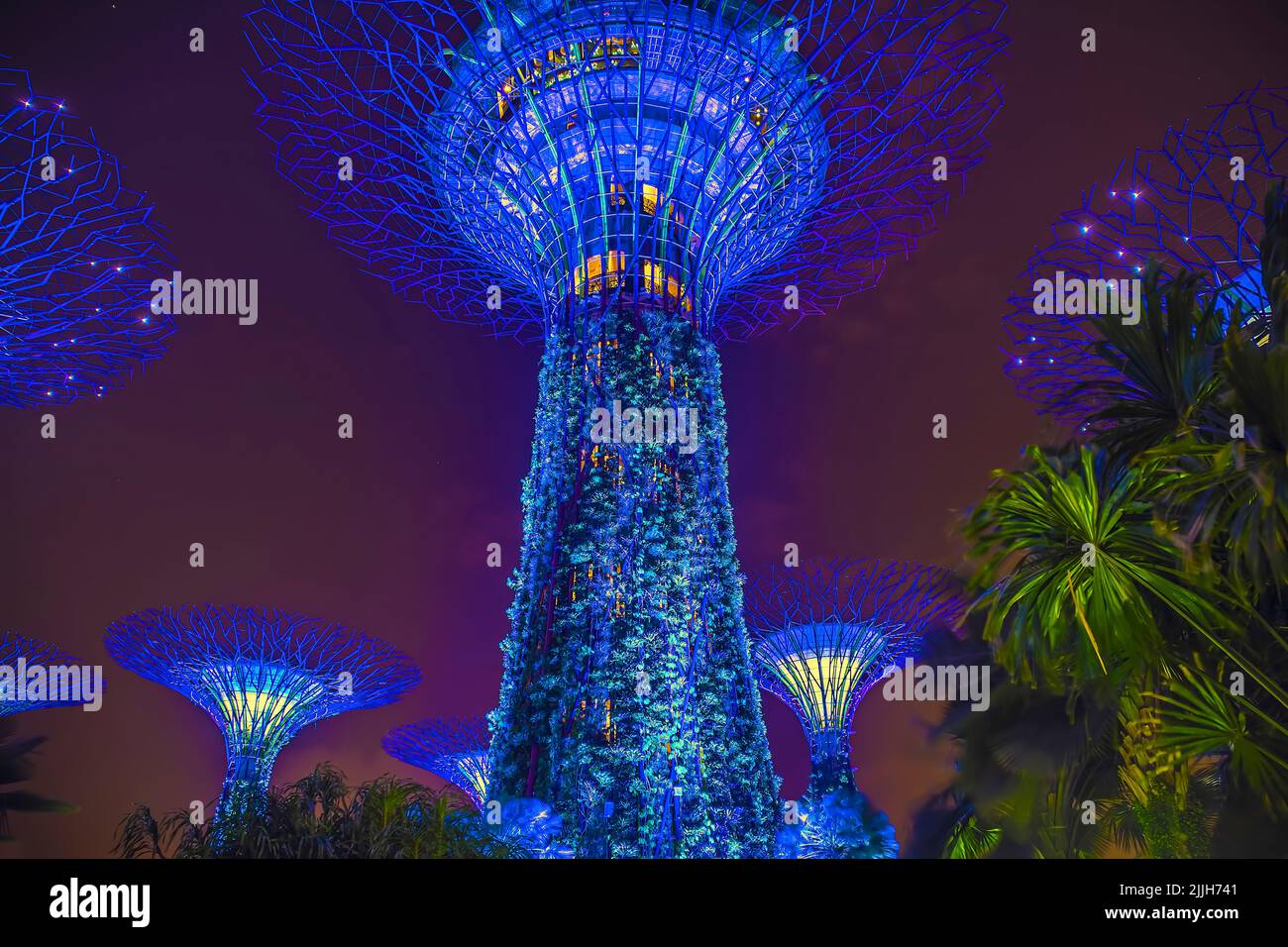 Futuristicamente blu illuminato Supertree Grove a Singapore di notte Foto Stock