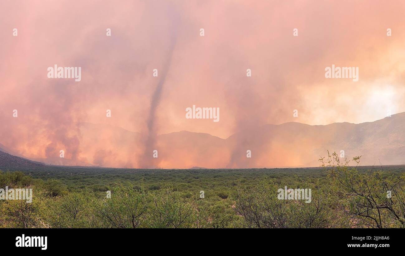 Sell, Stati Uniti. 05 luglio 2022. I tornados del fuoco girano attraverso il fumo dei contreras fuoco che brucia nella remota catena montuosa di Baboquivari sulla Tohono o'odham Nation, 5 luglio 2022 vicino a Sells, Arizona. Credit: Wade Allen/BIA/Alamy Live News Foto Stock