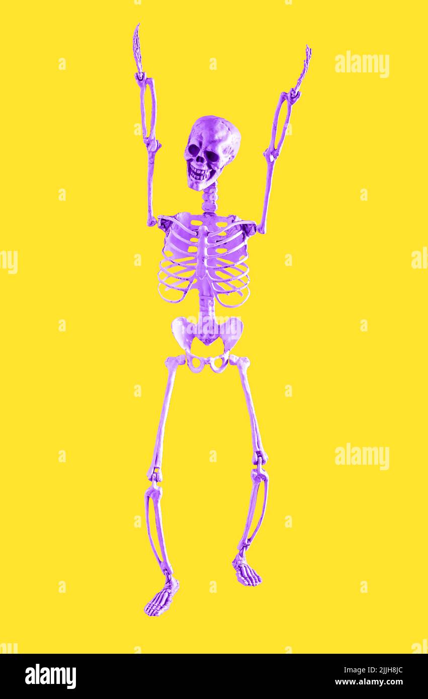 Modello di scheletro umano viola con mani su sfondo giallo. Divertimento, relax, divertimento, gioia, concetto di giorno di Halloween. Foto di alta qualità Foto Stock