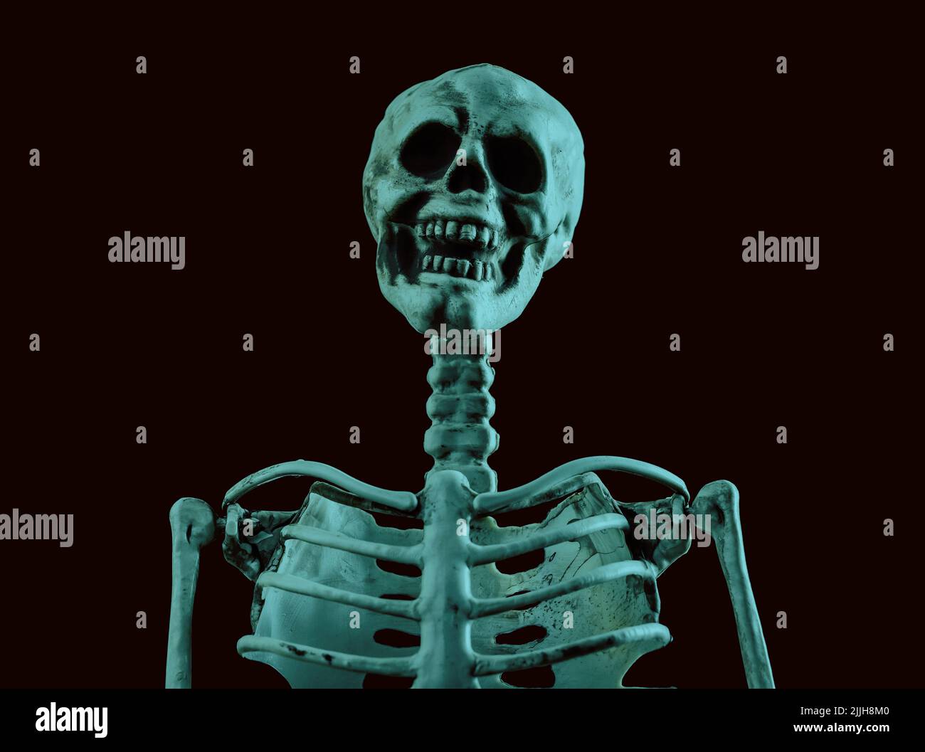 Modello di scheletro umano su sfondo nero. Cranio, vertebra, scapola, clavicola. Halloween giorno, orrore, paura, anatomia concetto. Foto di alta qualità Foto Stock