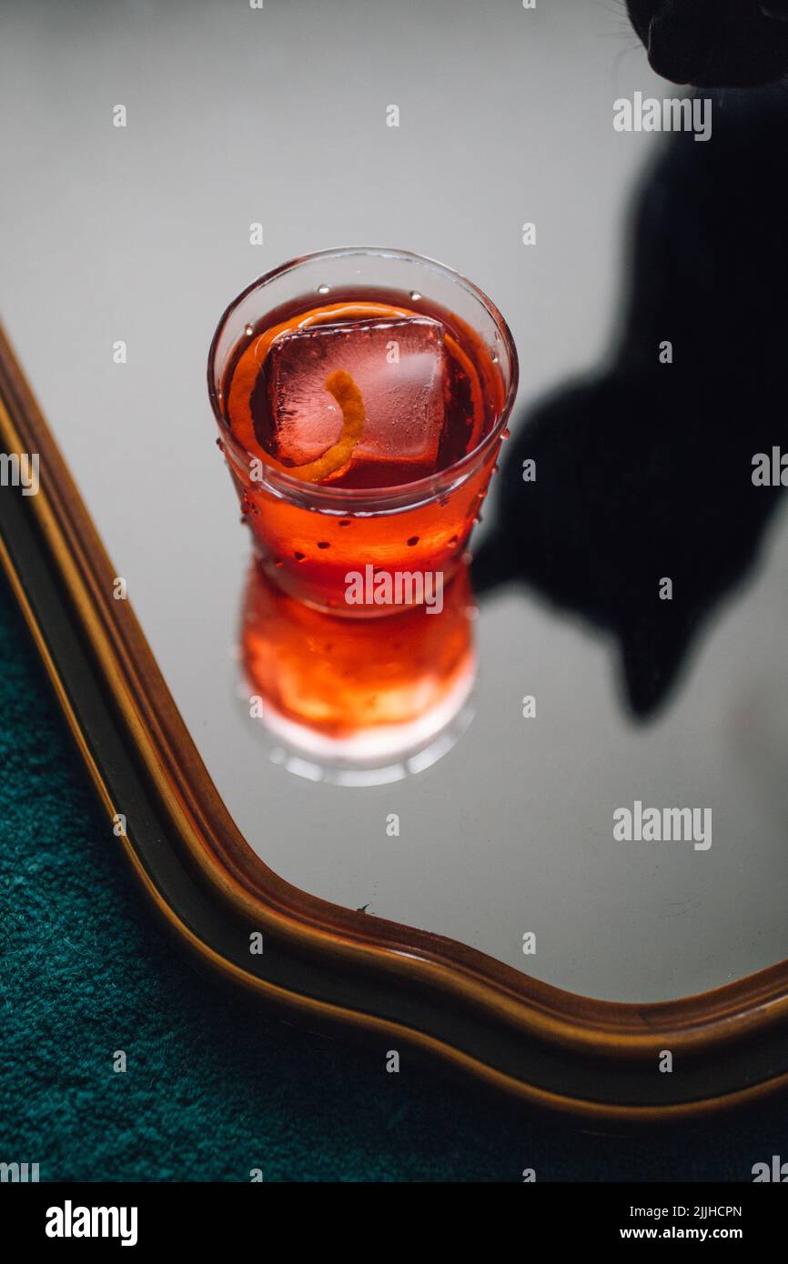 Gatto nero in specchio con cocktail Negroni Foto Stock