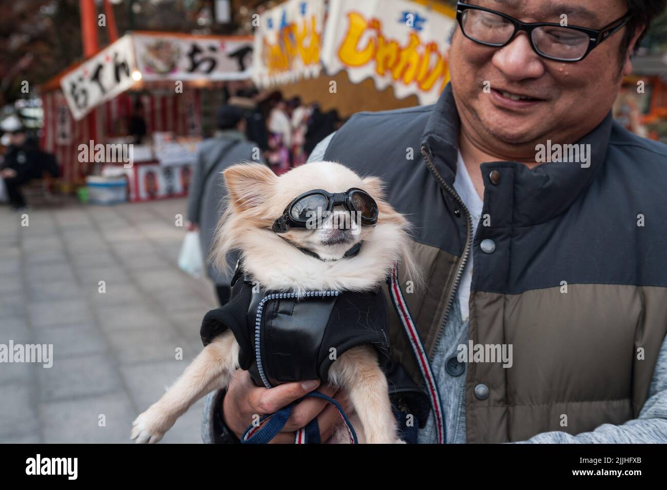 23.12.2017, Kyoto, Giappone, Asia - un uomo in un parco porta il suo cane Chihuahua nelle sue braccia che ha vestito in una giacca e occhiali per moto. Foto Stock