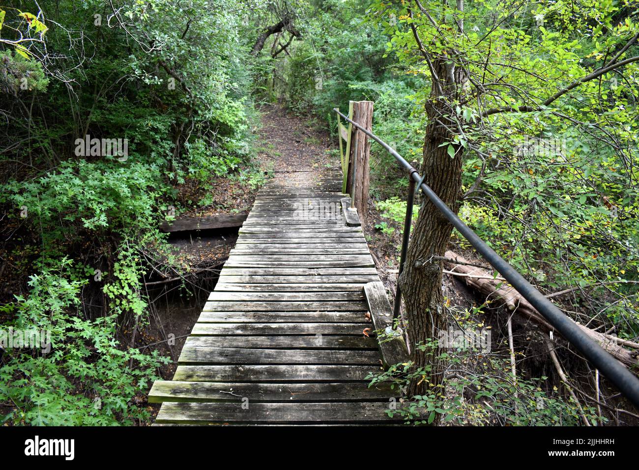 Un ponte di legno sulle piste di Big Cedar Wilderness vicino a Prayer Mountain. Foto Stock