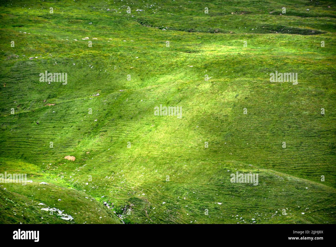 Alm, Almwiese, Hohe Tauern, Hütte, Stall, Wiese, Grün, saftig, Sommer, Herbst, Tauern, Nationalpark, Schwarzkopf, Großglockner, Glocknergruppe, Hokal Foto Stock