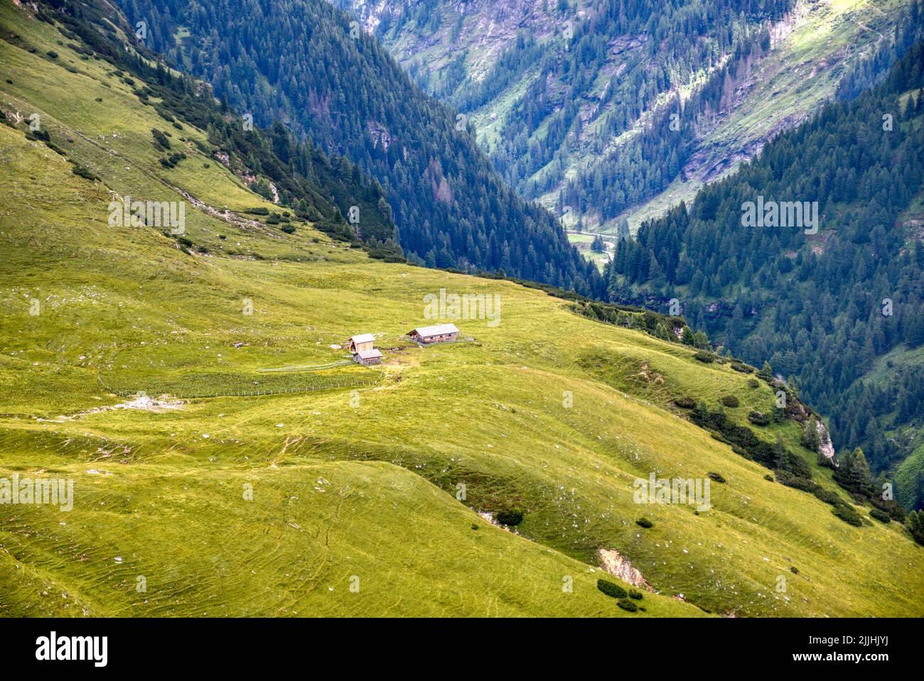 Alm, Almwiese, Hohe Tauern, Hütte, Stall, Wiese, Grün, saftig, Sommer, Herbst, Tauern, Nationalpark, Schwarzkopf, Großglockner, Glocknergruppe, Hokal Foto Stock