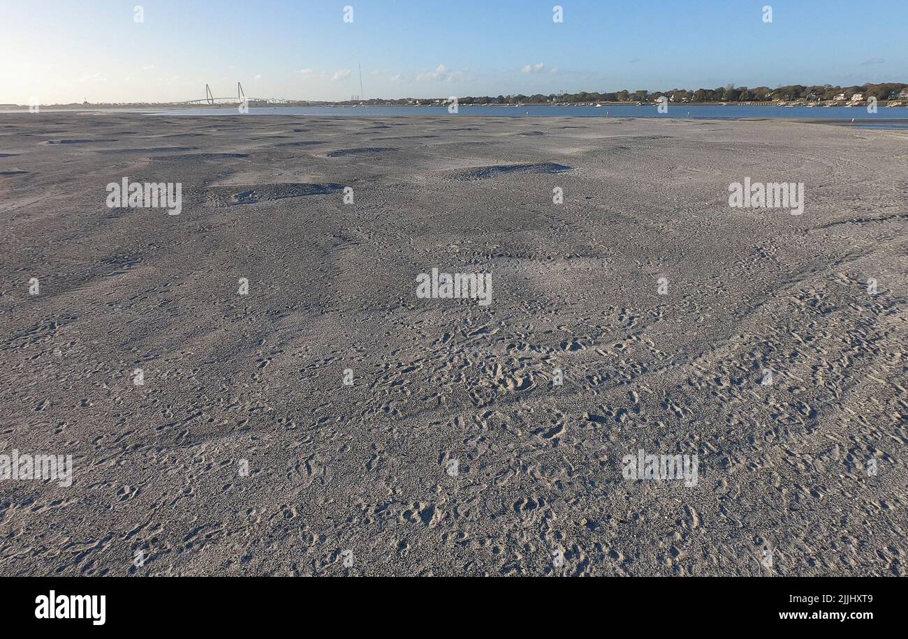 Isola di Crab Bank vicino al monte Pleasant, S.C. Crab Bank è un santuario degli uccelli. Foto Stock