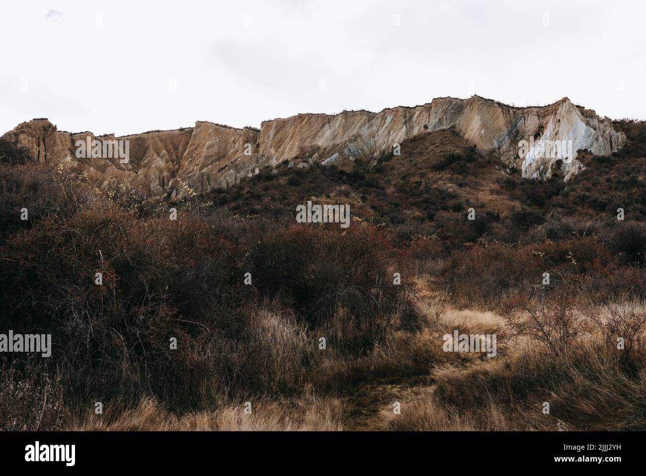 Clay Cliffs, famosa attrazione della Nuova Zelanda Foto Stock