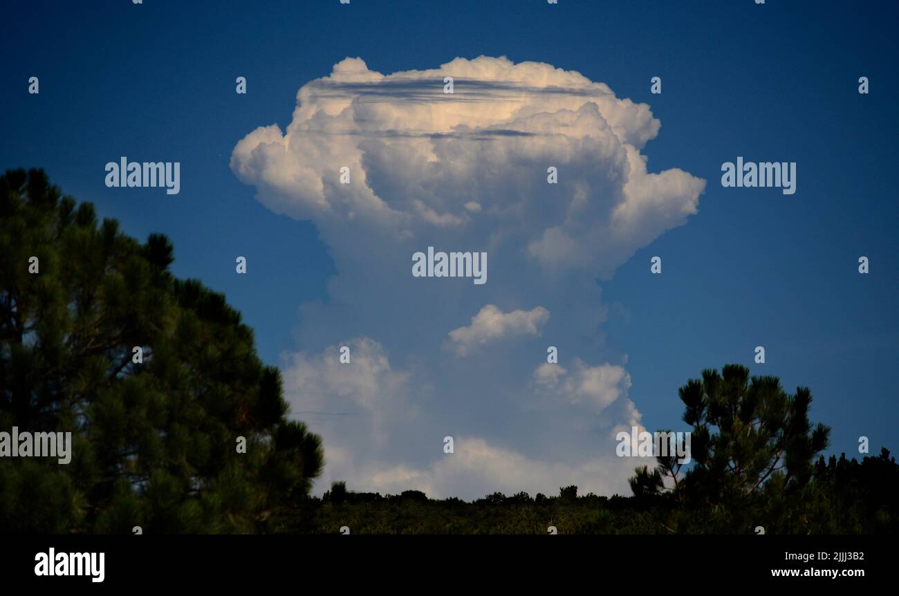 Torreggianti nuvole di cumulonimbus si formano all'orizzonte nel New Mexico vicino a Santa Fe. Foto Stock