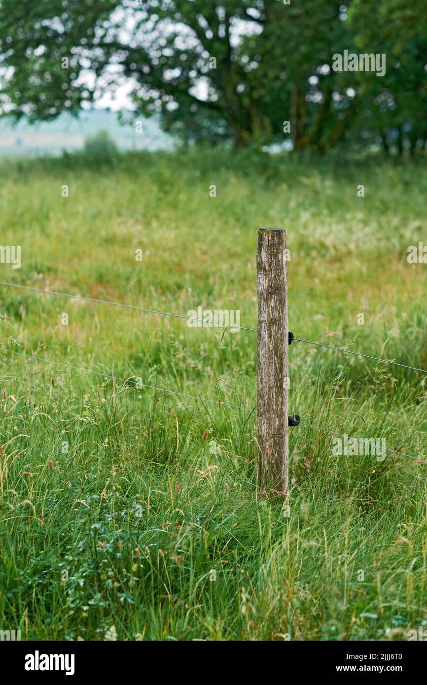 Posto di legno e recinzione elettrica utilizzati come confine per proteggere e proteggere le pianure della fattoria in campagna. Paesaggio di verde prato luminoso con lussureggiante Foto Stock