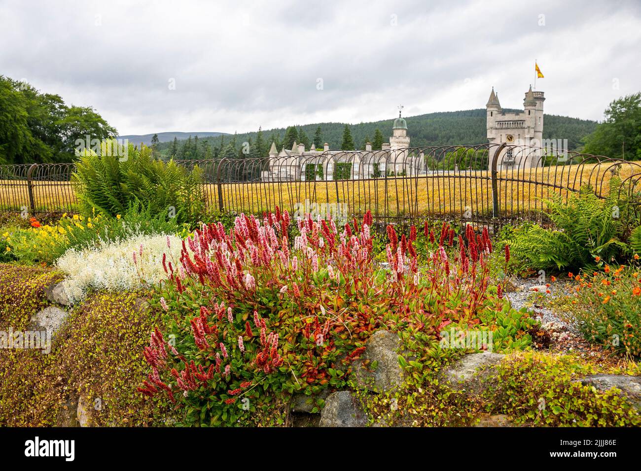 Castello Balmoral nelle Highlands scozzesi, fiori e piante nel giardino durante l'estate 2022, Scozia, Regno Unito Foto Stock