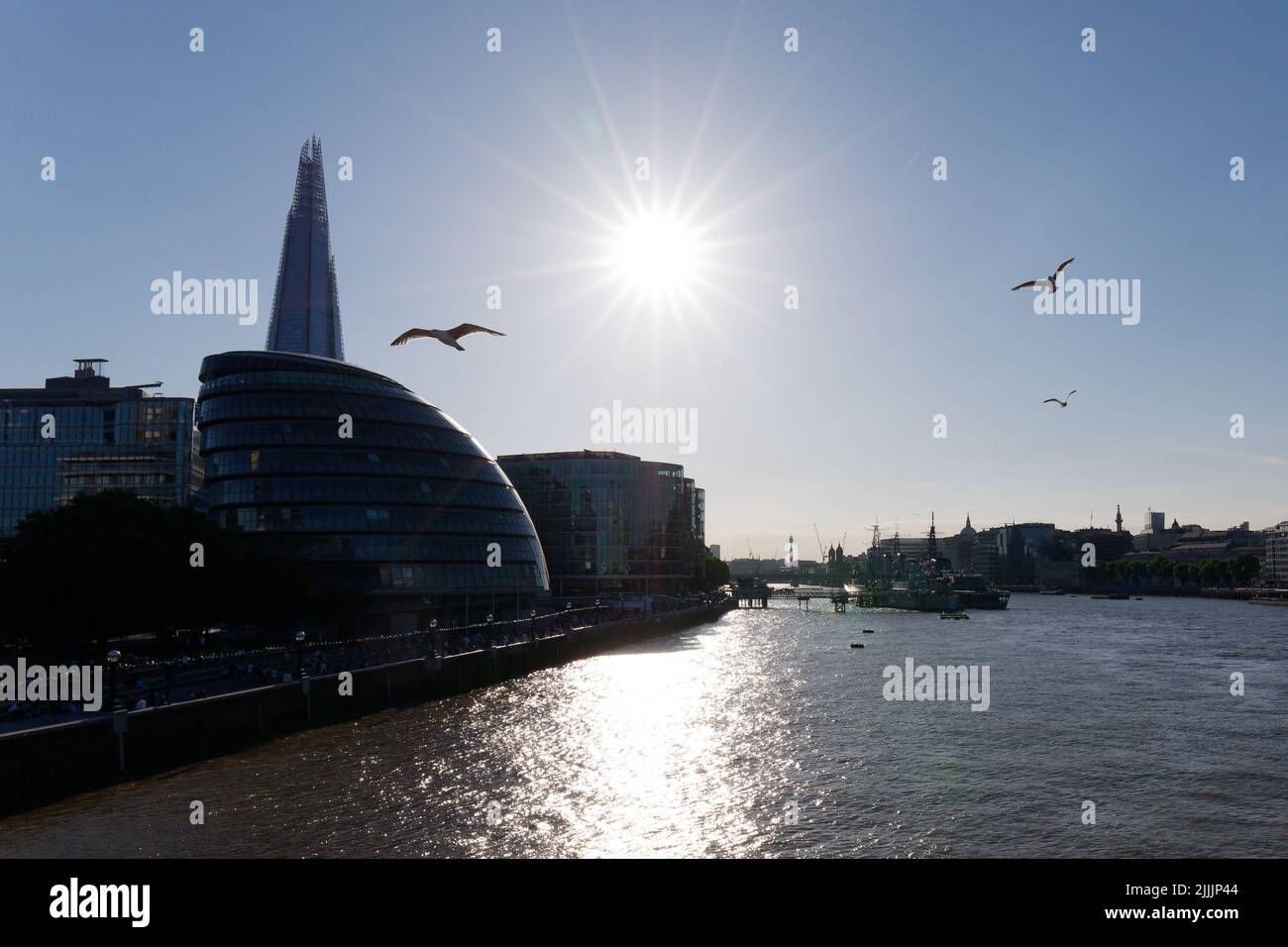 Londra, Greater London, Inghilterra, 22 2022 giugno: Gli uccelli che volano sul Tamigi in una serata estiva, il Municipio e lo Shard sono lasciati. Foto Stock