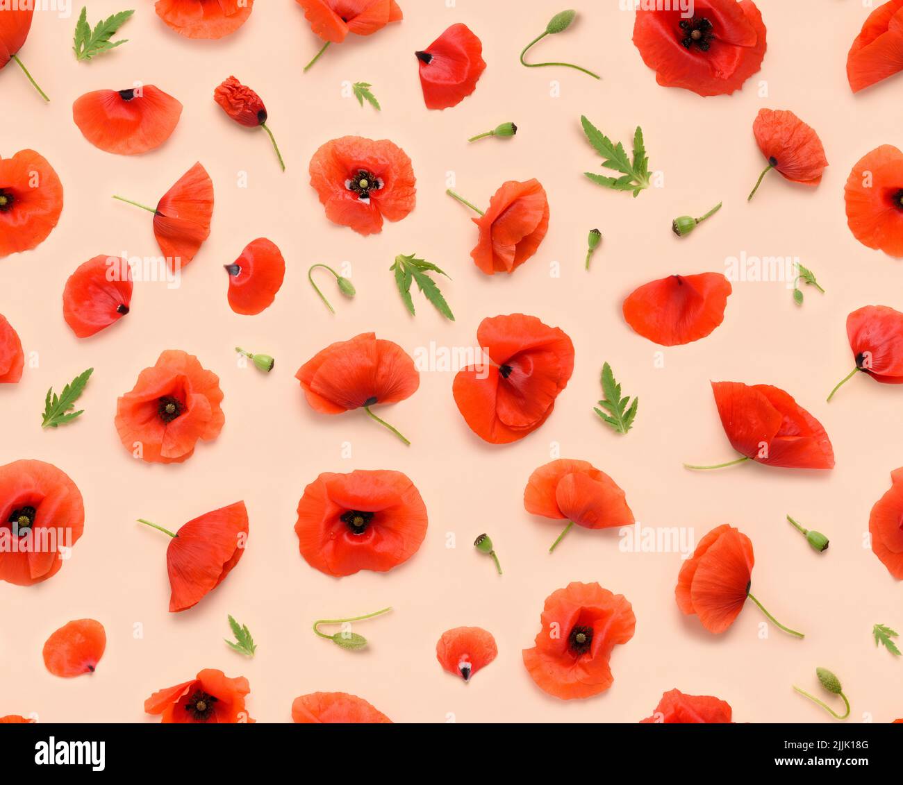 Motivo floreale senza cuciture di fiori rossi papavero, foglie gemme e petali su sfondo beige vista dall'alto piatto Foto Stock