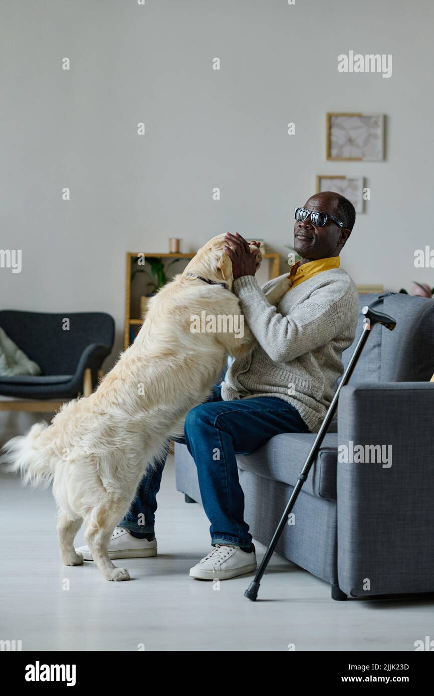 Uomo africano cieco in occhiali da gioco con cane guida seduto sul divano a casa Foto Stock
