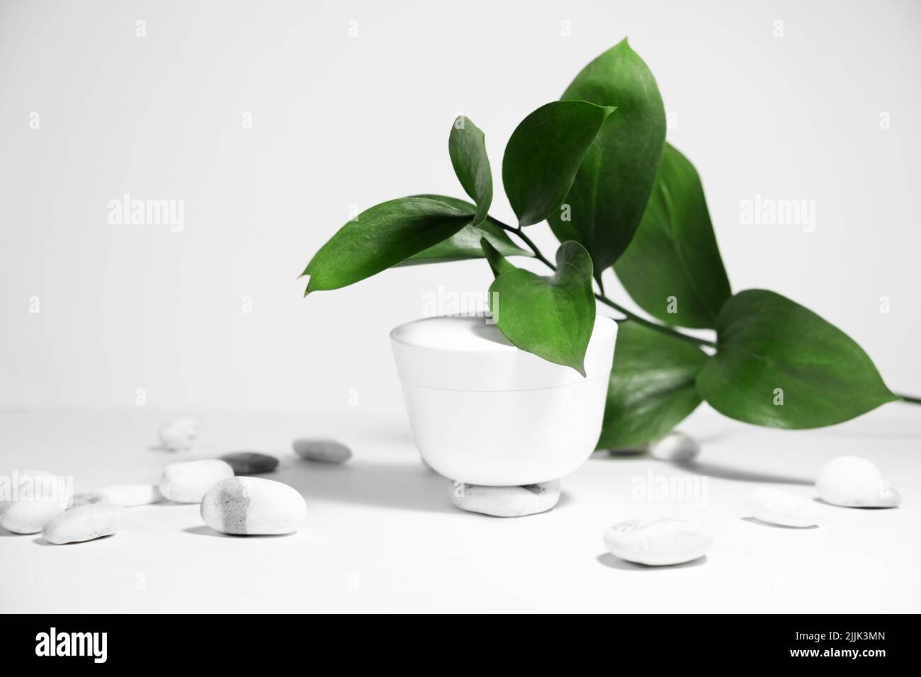 Un barattolo bianco di crema su sfondo bianco grigio, su un tavolo bianco con foglie verdi di una pianta tropicale, con ombre dure. Look elegante della Th Foto Stock