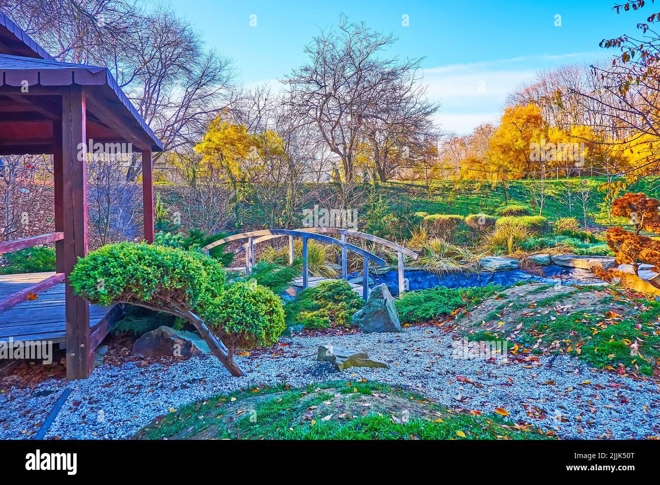 I vicoli stretti, le piante topiarie, il padiglione in legno e ponte attraverso lo stagno in giapponese Rodzi Tea Garden, Kyiv Botanical Garden, Ucraina Foto Stock