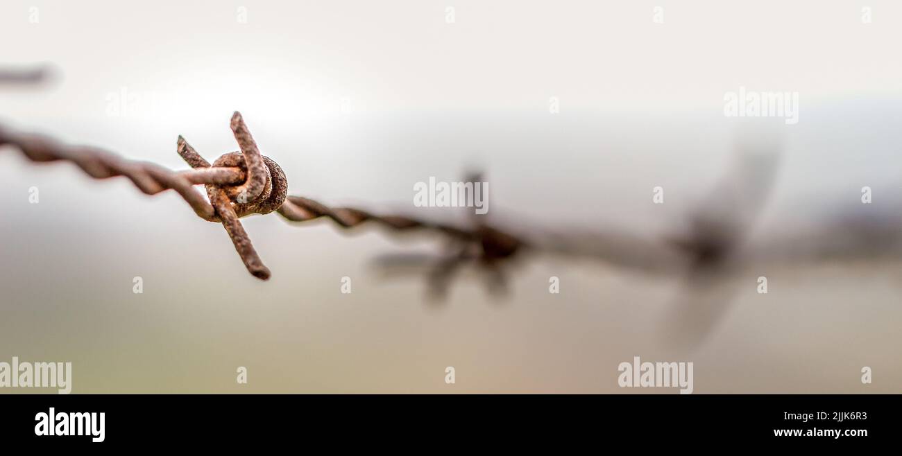 Fuoco selettivo di una parte di una recinzione di filo spinato arrugginito Foto Stock