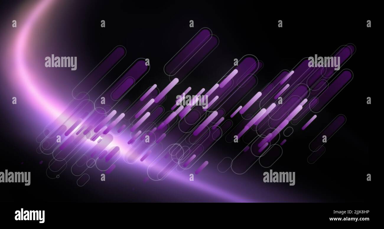 Immagine di agrifoglio su sfondo nero e viola Foto Stock