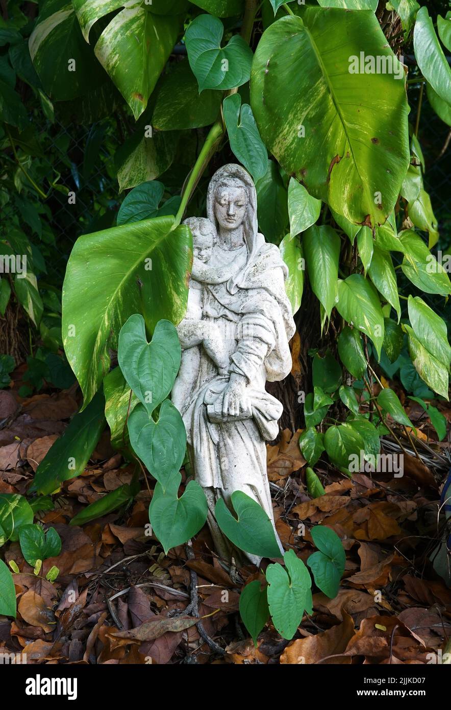 Un colpo verticale di una statua della madonna in natura Foto Stock
