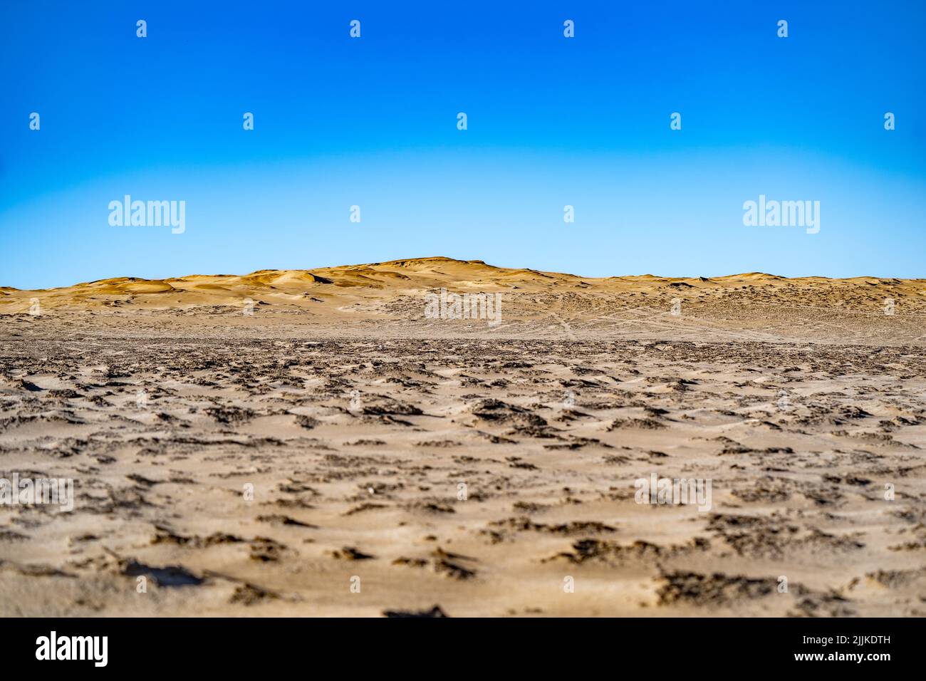 Generale scatto frontale su una spiaggia con sabbia, e il cielo blu chiaro sullo sfondo Foto Stock