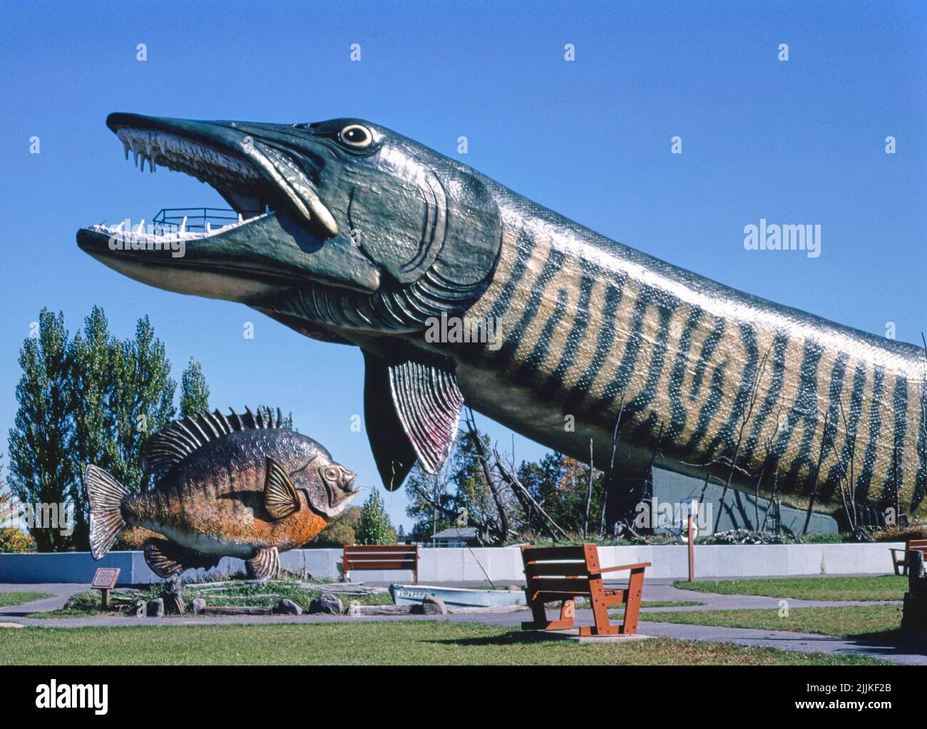 John Margolies - Vista laterale del luccio gigante 2, Fishing Hall of Fame, Hayward, Wisconsin, Hayward, Wisconsin, STATI UNITI Foto Stock