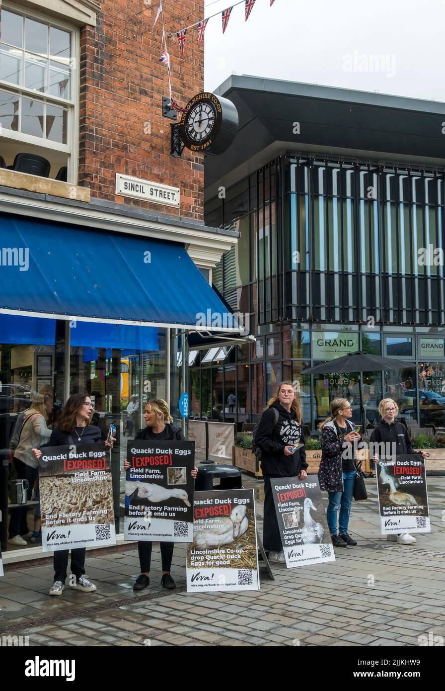 Viva! Gruppo di diritti degli animali che dimostra fuori dal Lincolnshire CO-OP negozio Sencil Street Lincoln City 2022 Foto Stock