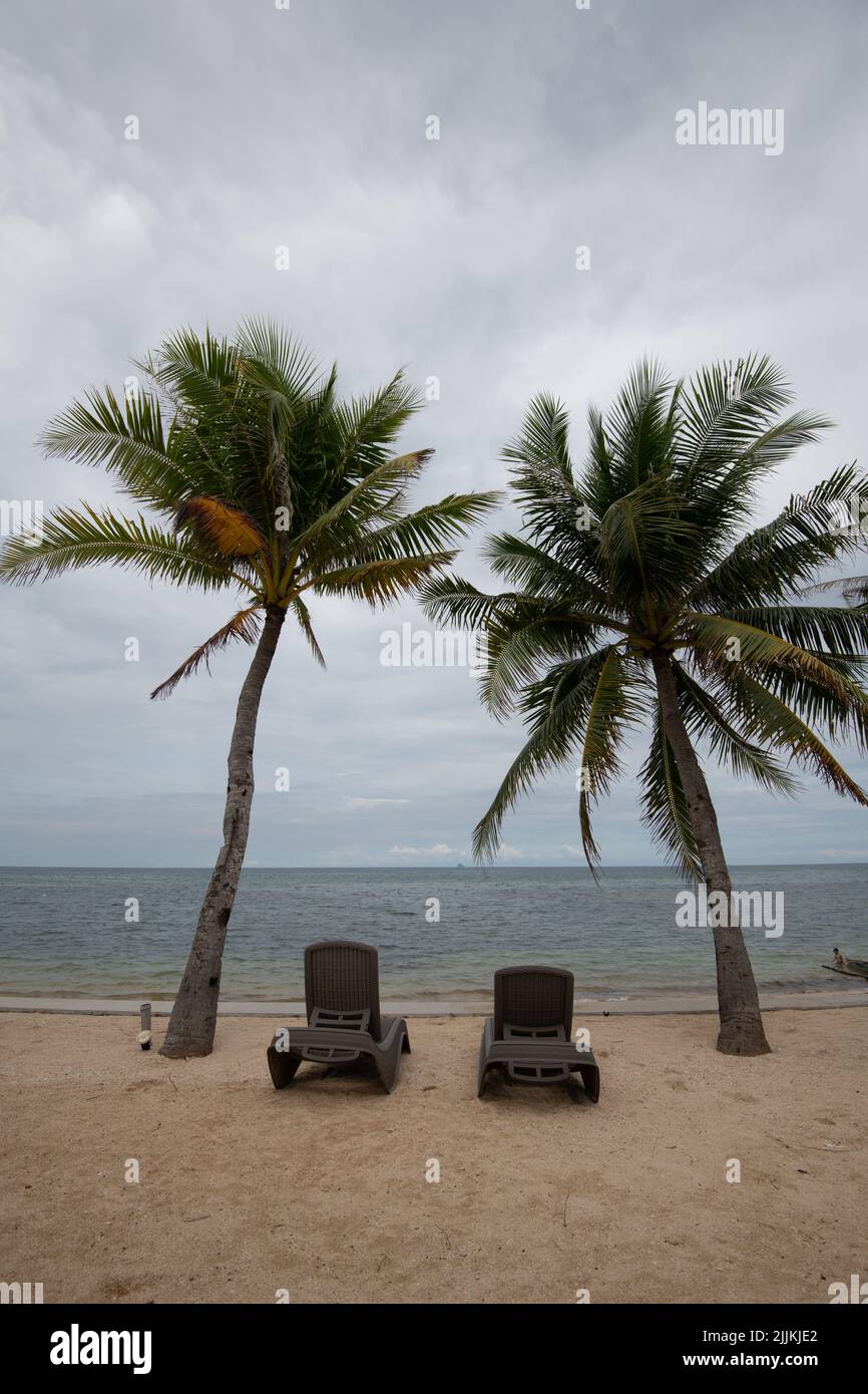 Una vista verticale delle palme e delle sdraio sulla costa dell'oceano in una giornata nuvolosa Foto Stock