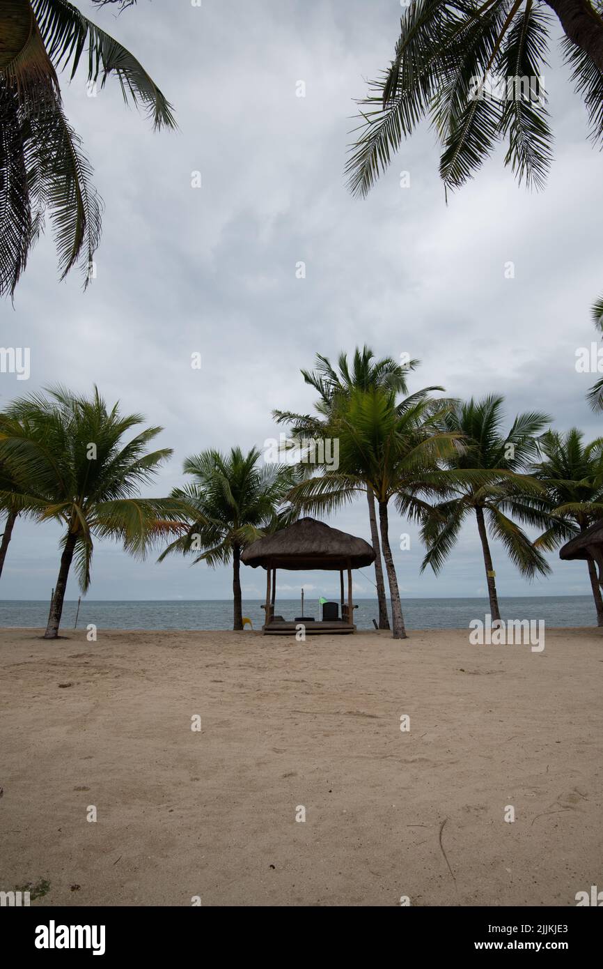 Una vista verticale distante delle palme e del letto sulla spiaggia sulla costa dell'oceano in una giornata nuvolosa Foto Stock