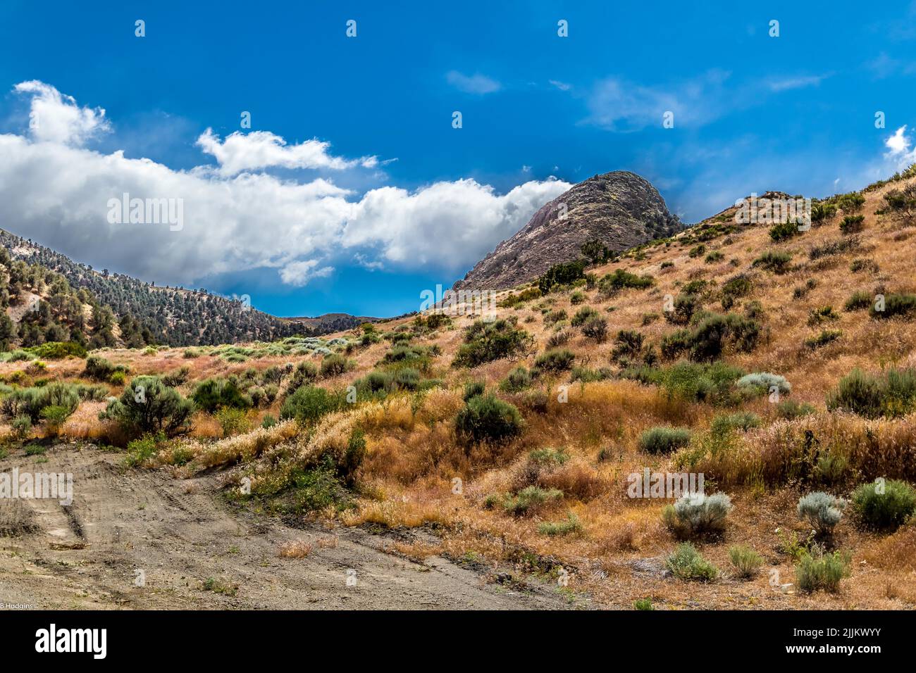 Una strada su collina con i dintorni di natura secca sotto un cielo blu, ma nuvoloso, Nevada Foto Stock