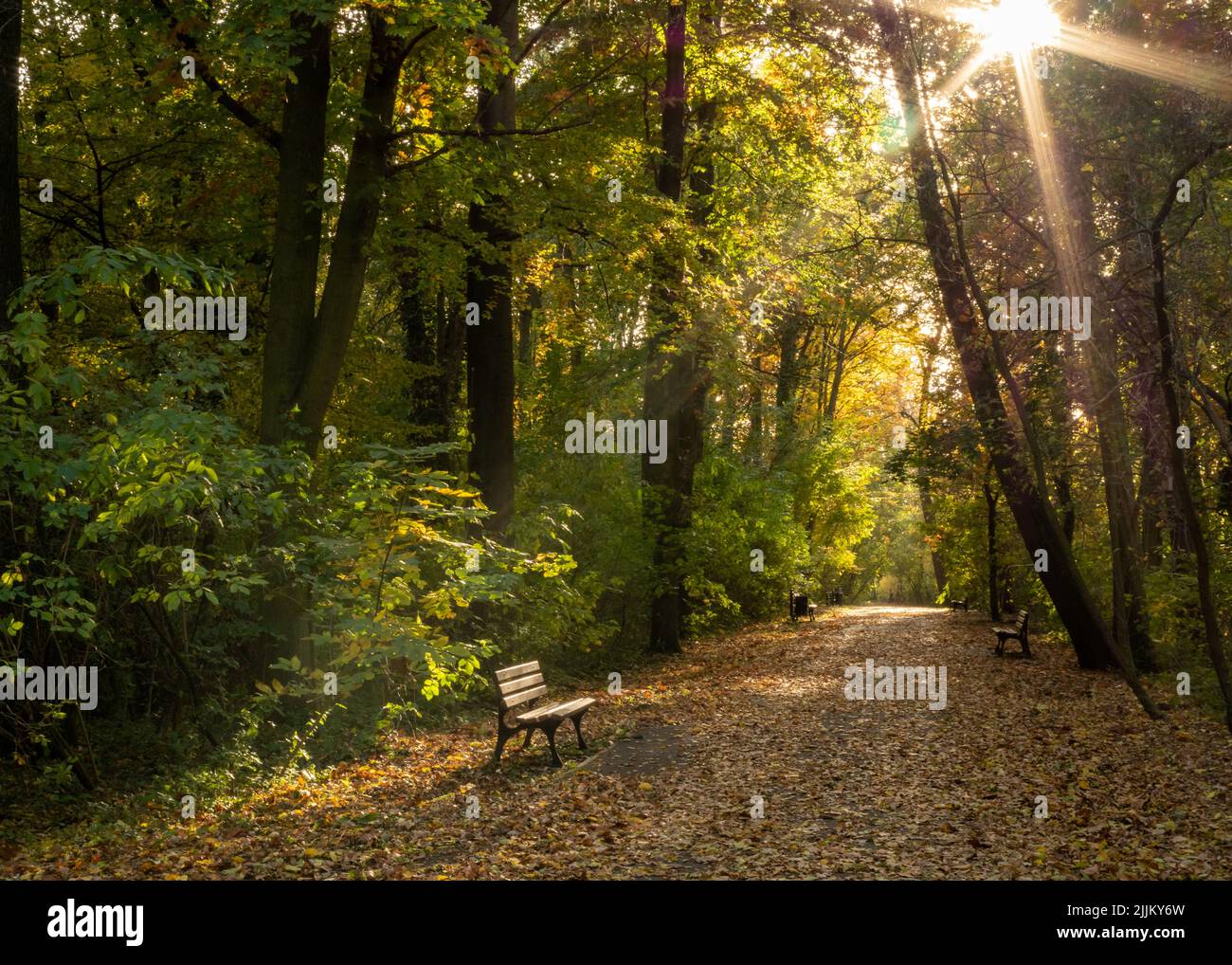 Un bel colpo di panchina in un parco in una giornata di sole Foto Stock