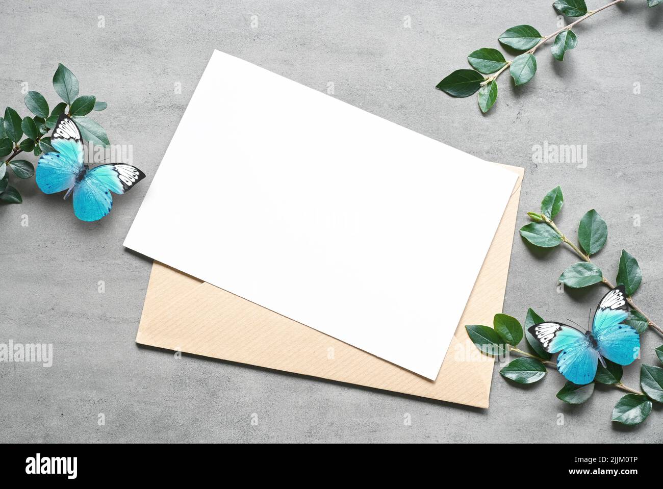 Carta mock up con piante e farfalla blu. Carta di invito con busta su sfondo bianco Foto Stock